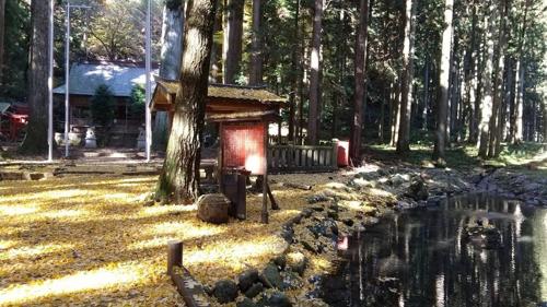 香寺レオン：日本文化的传承者与灵感源泉